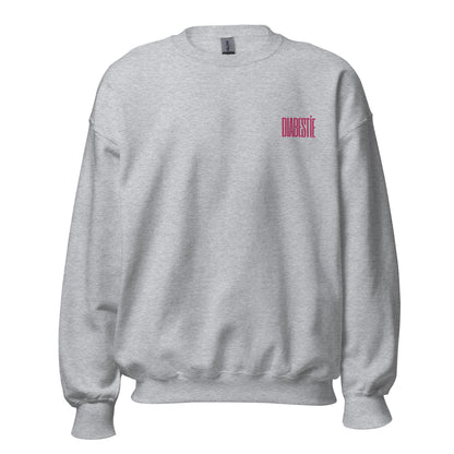 pull unisexe gris 'diabestia'